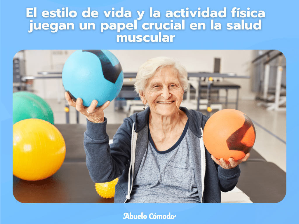 Masa muscular en los adultos mayor