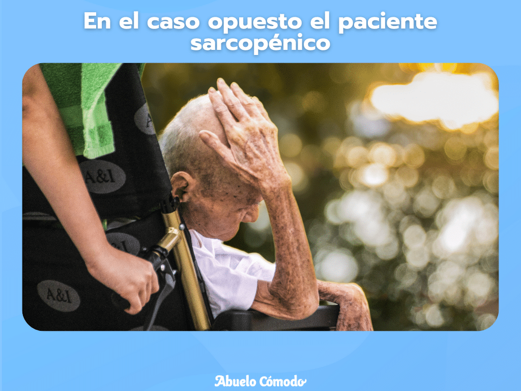 Nutrición en el adulto mayor sarcopénico